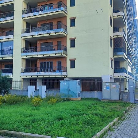 Love Home Apartament Near The Airport Fiumicino Exteriér fotografie